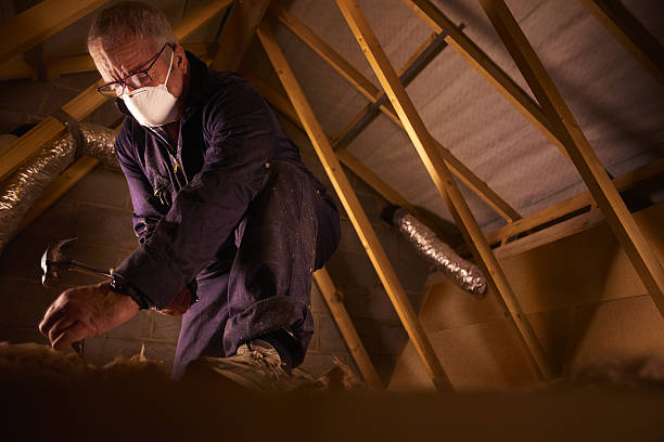 Best Residential Insulation in Afton, MN